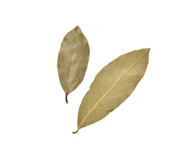 kurutulmuş defne yaprağı