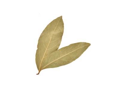 kurutulmuş defne yaprağı