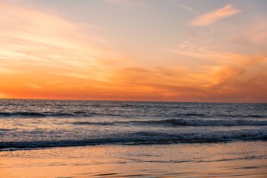 Nefes kesici Pasifik Okyanusu Deniz Burnu
