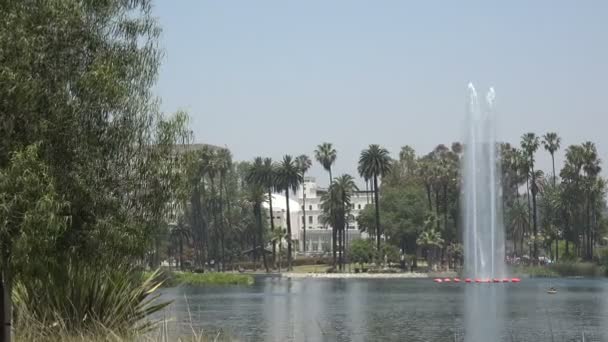 Beautiful Fountain Lake Surrounded Palm Trees — Stock Video