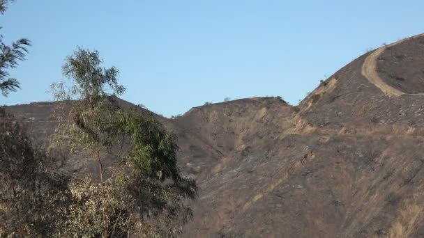 Hillside Ennegrecida Por Reciente Incendio Forestal — Vídeo de stock