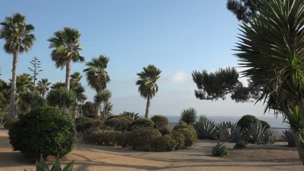 Beaux Jardins Dessus Océan Dans Une Station Tropicale — Video