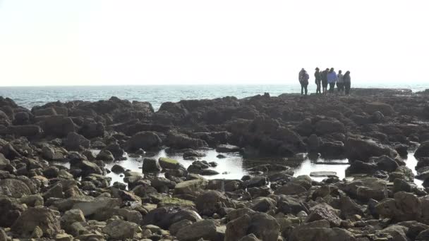 Silueta Grupo Personas Mirando Sobre Océano Cerca Una Piscina Marea — Vídeo de stock