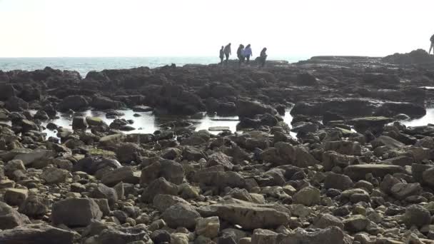 太平洋に沿って潮溜まりを探検する人々のシルエット — ストック動画