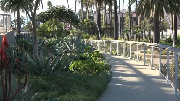 Caminho Embora Belos Jardins Parque — Vídeo de Stock