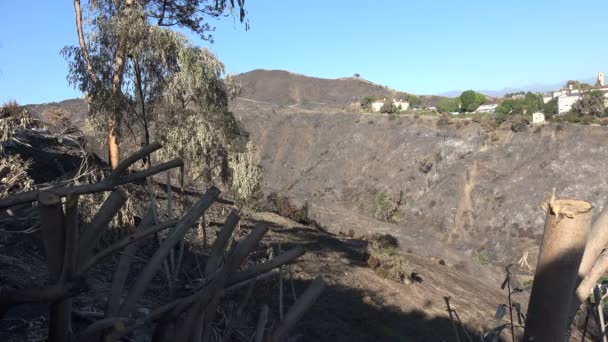 Bare Charred Mountain Wildfire — Stock Video