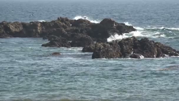 Okyanus Dalgaları Okyanusta Ağır Çekimde Kayalara Çarpıyor — Stok video
