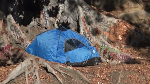 Tent Van Een Dakloze Bij Een Boom Het Centrum Van — Stockvideo