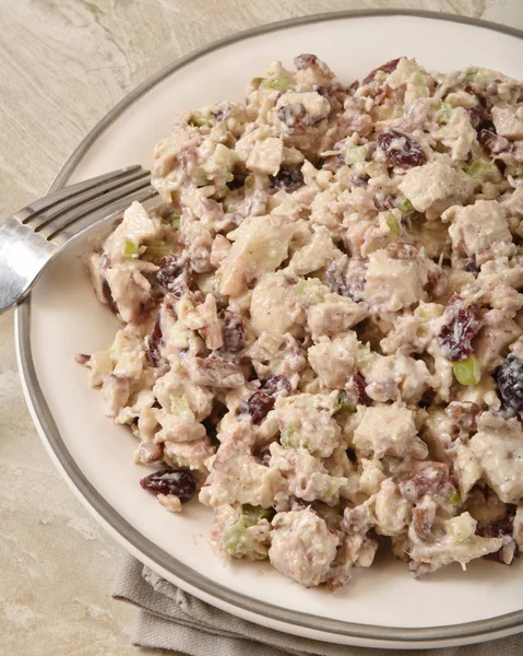 Salada de maçã de cranberry com peru — Fotografia de Stock