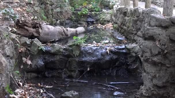 Hermoso Arroyo Tranquilo Con Una Cascada Camino Lado — Vídeo de stock