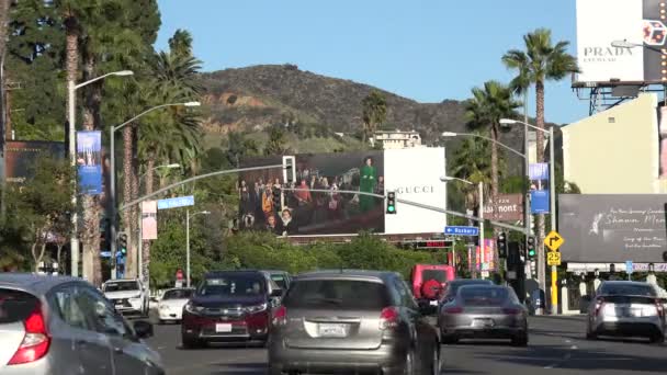 Los Angeles Ocak 2019 Los Angeles Taki Ünlü Sunset Strip — Stok video