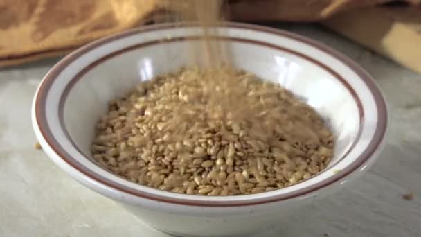 Pouring Golden Roasted Flax Seeds Small Bowl Slow Motion — Stock Video