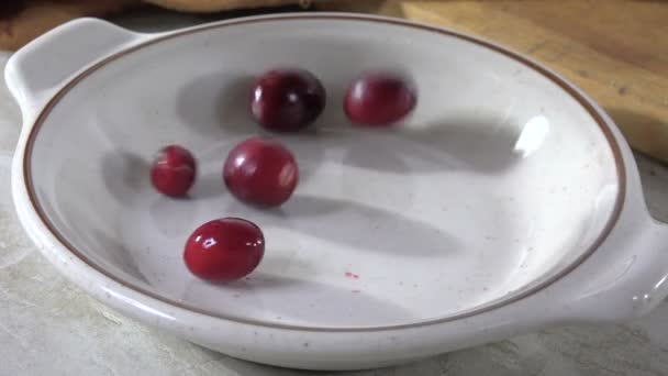 Despejar Cranberries Frescos Uma Tigela — Vídeo de Stock