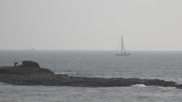 Sailboat Passes Silhouetted Fisherman Jetty Ocean Hazy Day — Stock Video