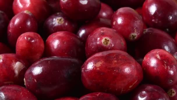 Uma Tigela Cranberries Maduras Frescas Close Para Longe — Vídeo de Stock