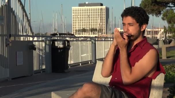 Beau Jeune Homme Jouant Harmonica Sur Banc Dans Une Marina — Video