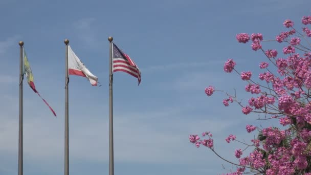 Mexicaanse Amerikaanse Californische Vlaggen Wind — Stockvideo