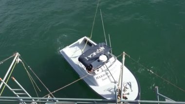 Santa Monica Liman Devriyesi iskeleye yanaşıyor, hava manzaralı.