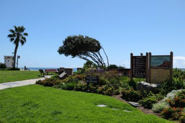 Laguna Beach, CA / USA - 23 Mart 2020 Kaliforniya 'daki Laguna Sahili' nde güzel bahçeler, popüler bir turizm merkezi.