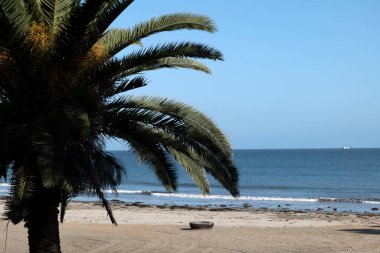 Tropikal bir tatil köyünde güzel bir sahil. 