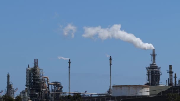 Gonflement Fumée Forme Une Cheminée Dans Une Grande Raffinerie Pétrole — Video