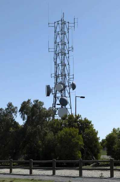 Uma Torre Comunicações Parque Natural Cidade — Fotografia de Stock