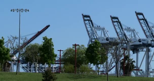 Long Beach Usa Mayıs 2020 Limandaki Gantry Vinçleri Wilmington Waterfront — Stok video