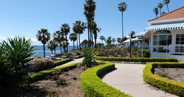 Laguna Beach Usa April 2020 Deserted Gardens Pathway Pacific Ocean — Stock Video