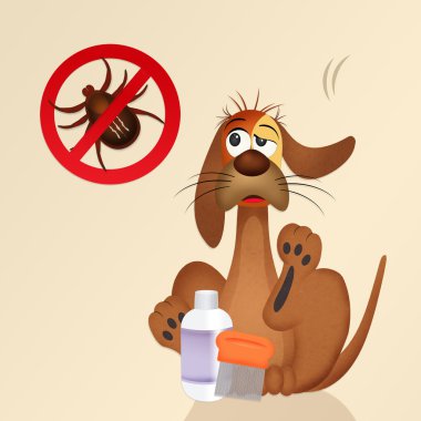 keneler ile köpek