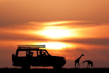 gün batımında Jeep safari