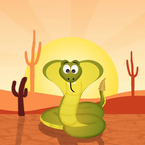 cobra in the desert