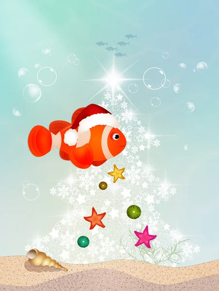 Clown ryb na Vánoce — Stock fotografie