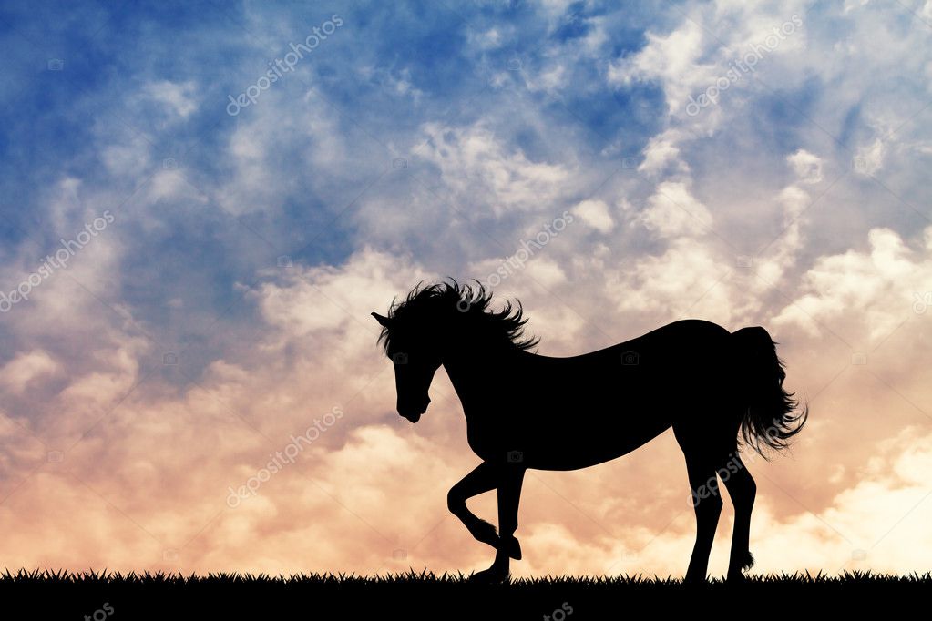 Horse silhouette at sunset Stock Photo by ©adrenalina 125187104