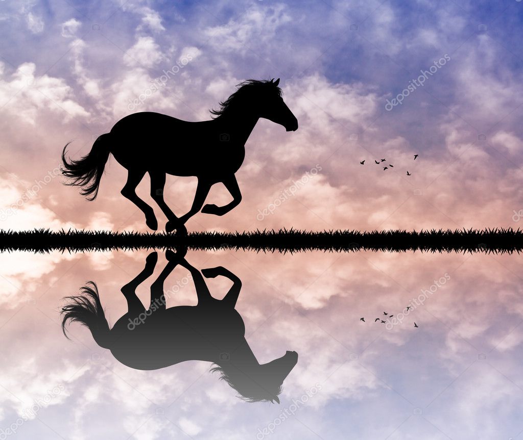 Horse silhouette at sunset — Stock Photo © adrenalina #125187440, image size:1024x863