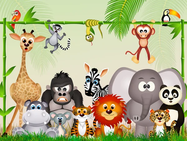 Wild animals in the jungle — Stock Photo, Image