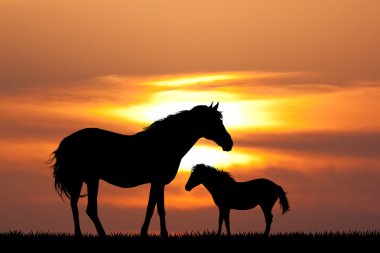 gün batımında mare ile Colt