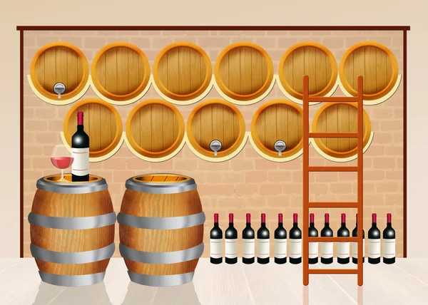 Wijnvaten in de wijnmakerij — Stockfoto