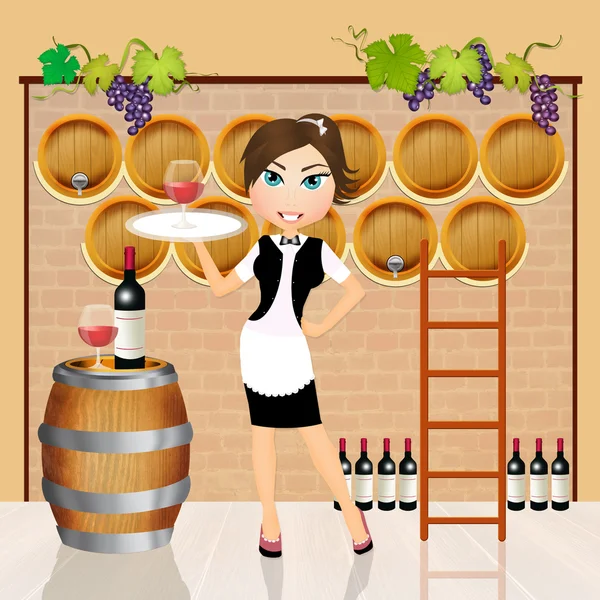 Girl in the winery — Stock Photo, Image