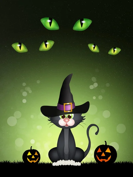 Black cat for Halloween — Stock Photo, Image