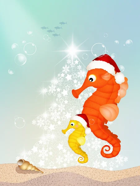 Caballitos de mar en Navidad — Foto de Stock
