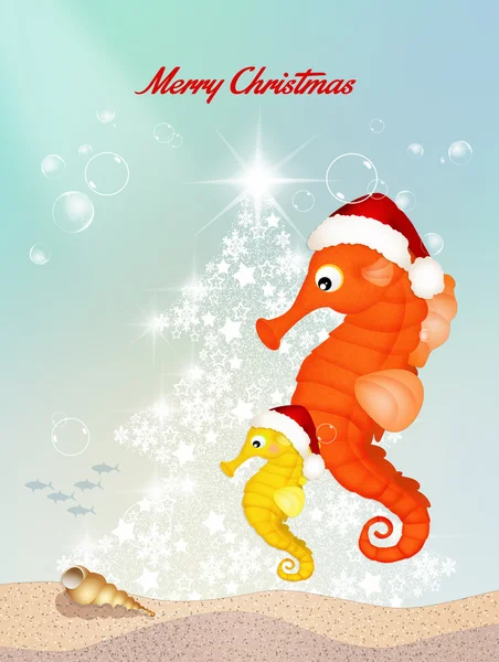 Seepferdchen feiern Weihnachten — Stockfoto