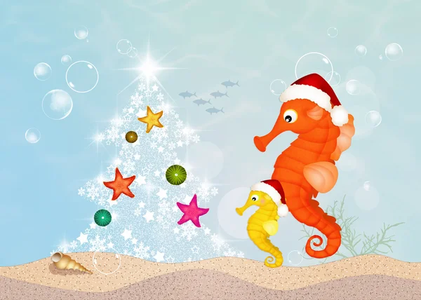 Mořští koníci slaví Vánoce — Stock fotografie