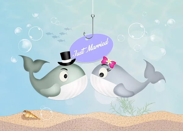 Marriage of whales — Stock Photo, Image