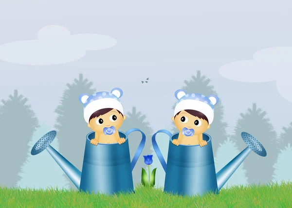 male twins in watering can