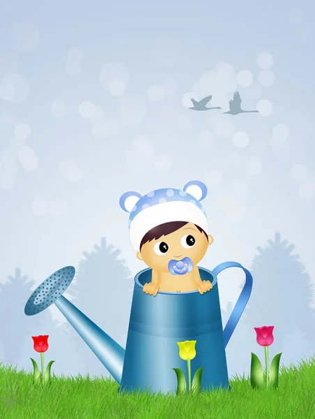 Baby in watering can — Stock Photo, Image