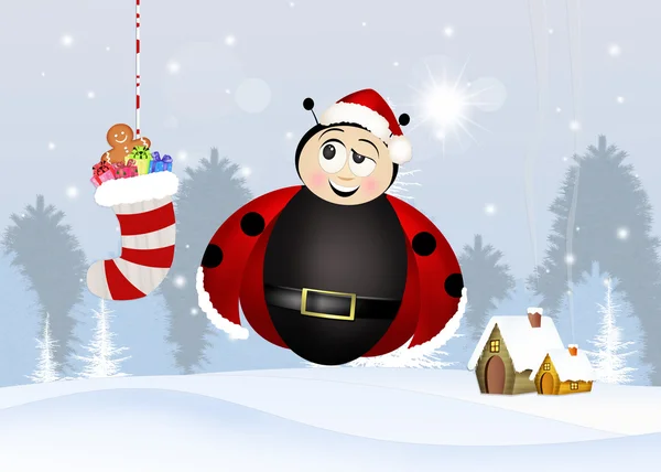 Ladybug at Christmas — Stock Photo, Image