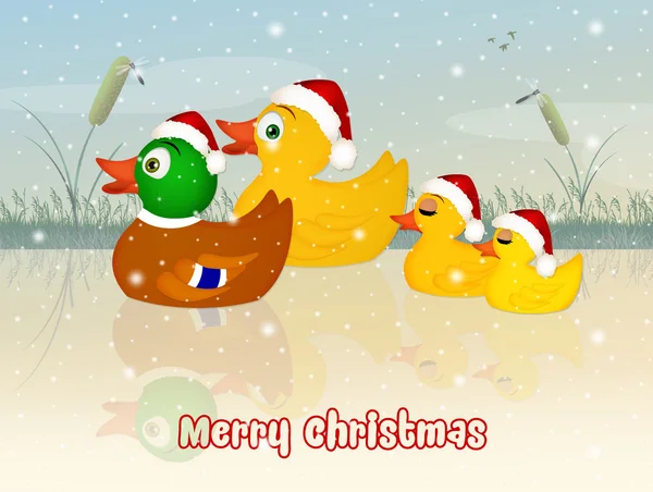 Cute Christmas postcard — Stock Photo, Image