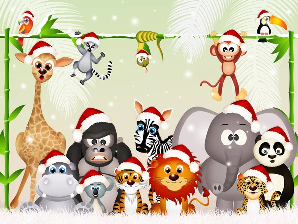 Wilde dieren met Kerstmis — Stockfoto