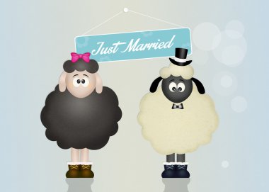 Wedding of sheeps clipart