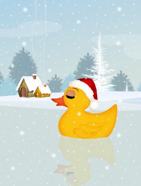Noel şapka ile ördek